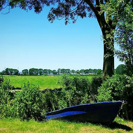 Oda ve Kahvaltı Boerderij Zonneveld 3*